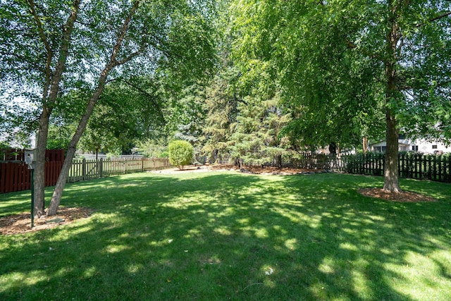 10315 Boundary Creek Ter, Maple Grove, MN 55369 - view of fenced backyard
