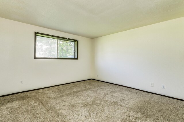 5636 Brookdale Dr N, Brooklyn Park, MN 55443 - photo 6