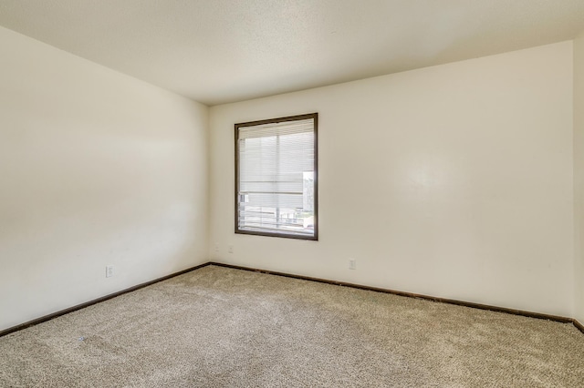 5636 Brookdale Dr N, Brooklyn Park, MN 55443 - photo 22