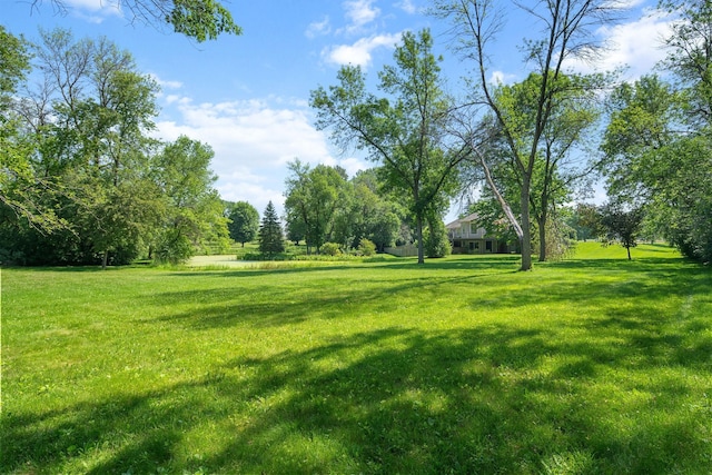 8045 County Road 116, Corcoran, MN 55340 - view of green lawn