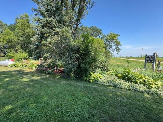 31845 615th Ave, Compton Twp, MN 56482 - view of green lawn