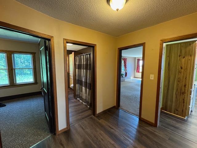 31845 615th Ave, Compton Twp, MN 56482 - hallway with dark wood-style floors, healthy amount of natural light, and a textured ceiling