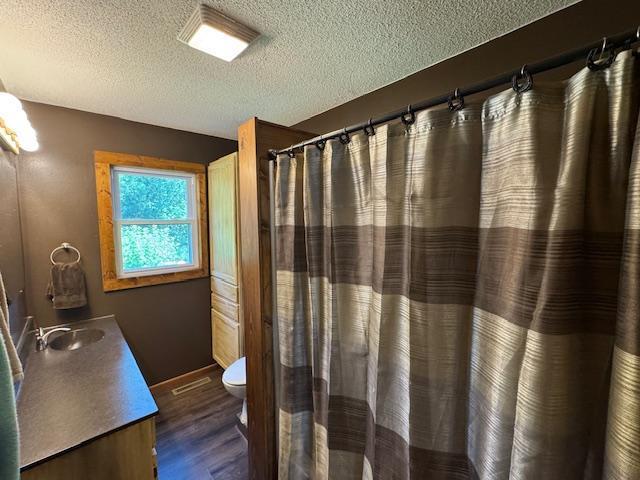 31845 615th Ave, Compton Twp, MN 56482 - bathroom featuring vanity, wood finished floors, a textured ceiling, and a shower with shower curtain