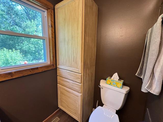 31845 615th Ave, Compton Twp, MN 56482 - bathroom with plenty of natural light