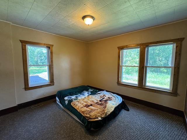 31845 615th Ave, Compton Twp, MN 56482 - carpeted bedroom with baseboards and crown molding