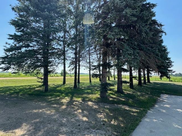 31845 615th Ave, Compton Twp, MN 56482 - surrounding community featuring a lawn