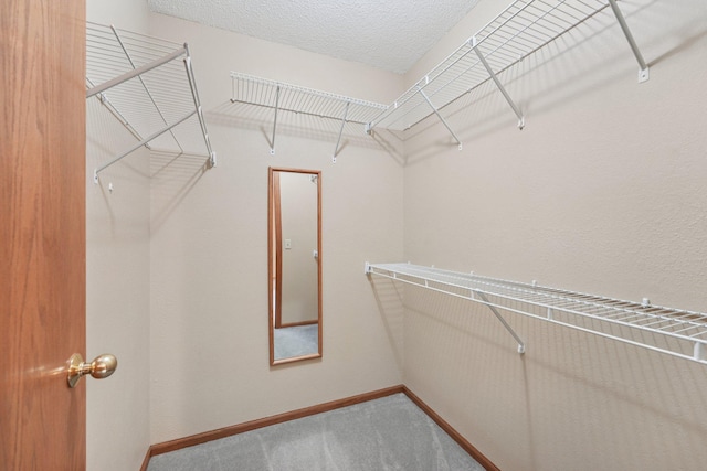 24864 Kettle River Blvd, Wyoming, MN 55025 - spacious closet featuring carpet flooring