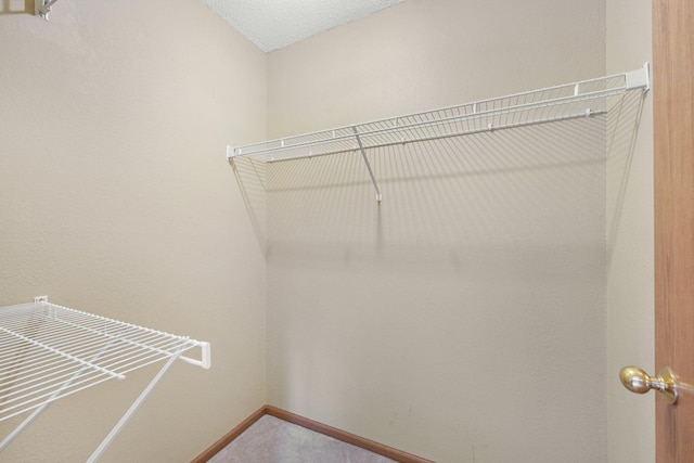 24864 Kettle River Blvd, Wyoming, MN 55025 - spacious closet with carpet flooring