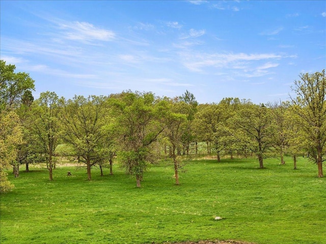 6167 24th St SW, Pine River, MN 56474 - photo 29