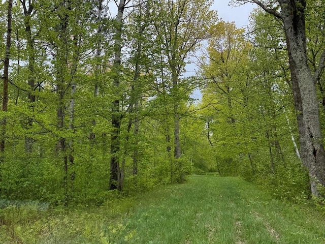 6167 24th St SW, Pine River, MN 56474 - photo 98