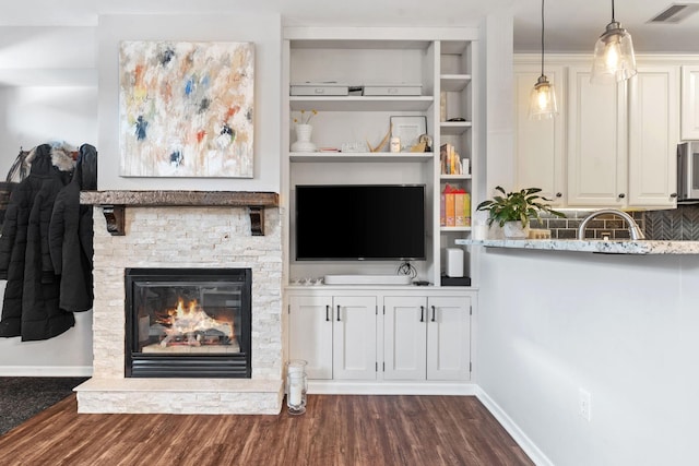 660 2nd St Unit 104, Minneapolis, MN 55401 - living area featuring dark wood-style flooring and a stone fireplace