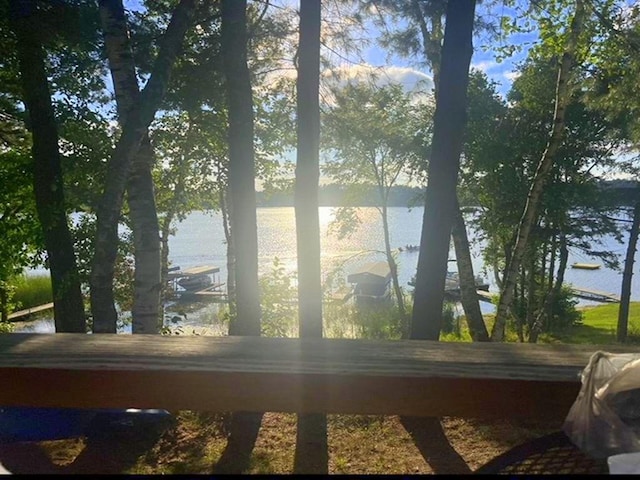 26315 Icon Dr Unit 103, Park Rapids, MN 56470 - water view