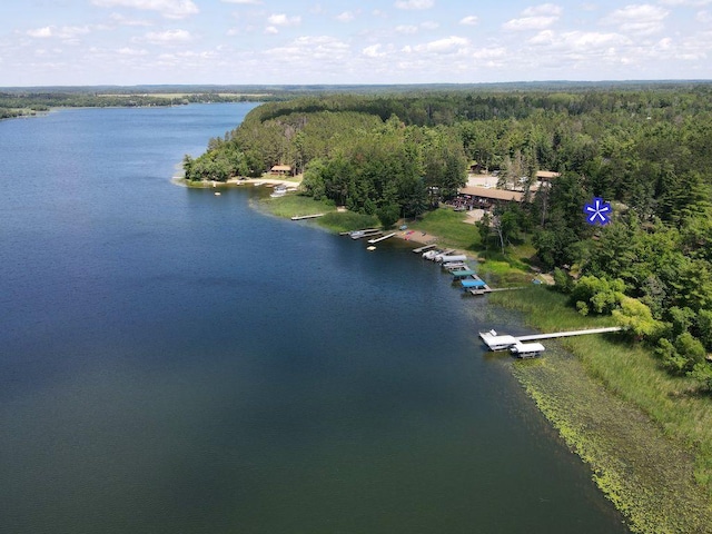 26315 Icon Dr Unit 103, Park Rapids, MN 56470 - drone / aerial view of a forest and a large body of water