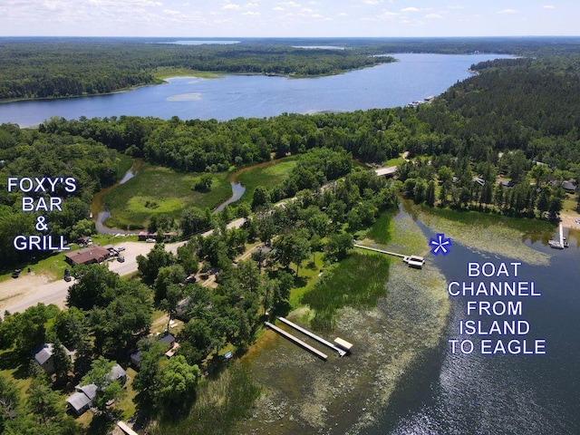26315 Icon Dr Unit 103, Park Rapids, MN 56470 - aerial view of property's location with a large body of water