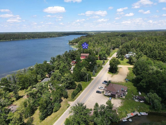 26315 Icon Dr Unit 103, Park Rapids, MN 56470 - view of property location featuring a forest and a nearby body of water