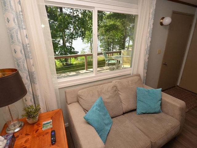 26315 Icon Dr Unit 103, Park Rapids, MN 56470 - living room with healthy amount of natural light and wood finished floors
