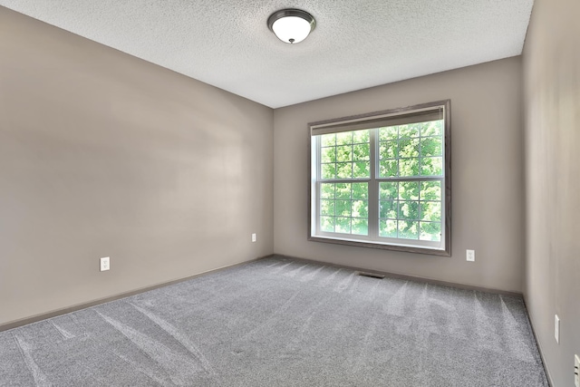 7333 Burr Oak Ave S, Cottage Grove, MN 55016 - photo 40