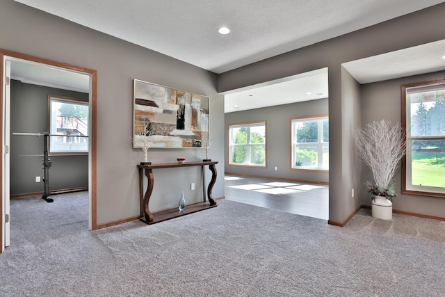 7333 Burr Oak Ave S, Cottage Grove, MN 55016 - photo 52
