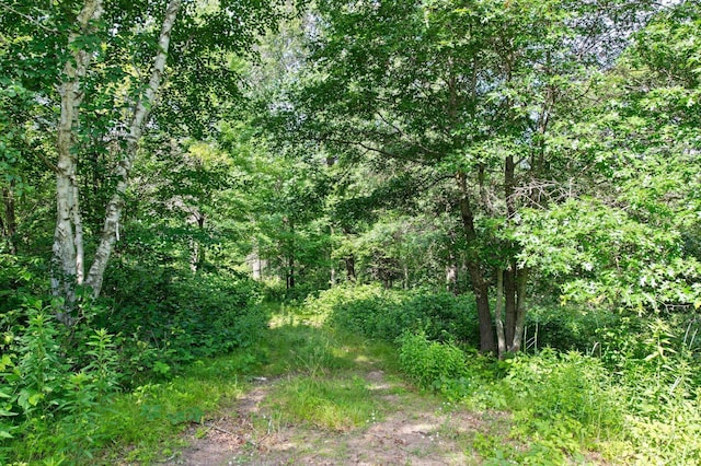 21923 Quincy St NE, East Bethel, MN 55011 - photo 7