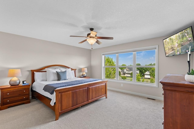8795 Bellevue Ct, Chanhassen, MN 55317 - photo 22