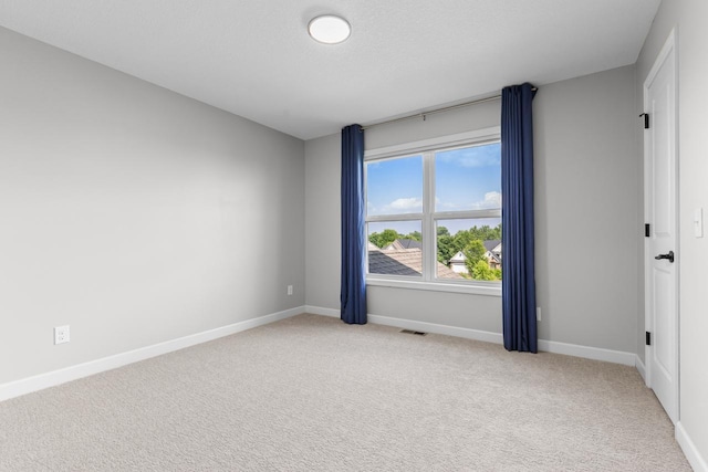 8795 Bellevue Ct, Chanhassen, MN 55317 - photo 28