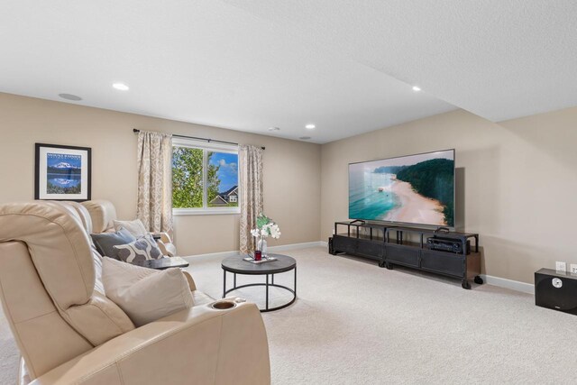 8795 Bellevue Ct, Chanhassen, MN 55317 - photo 37