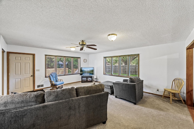 10632 Arrowhead St NW, Coon Rapids, MN 55433 - photo 10