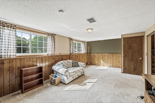 10632 Arrowhead St NW, Coon Rapids, MN 55433 - photo 19