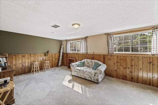 10632 Arrowhead St NW, Coon Rapids, MN 55433 - photo 18