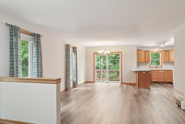 12488 Unity St NW, Coon Rapids, MN 55448 - photo 4