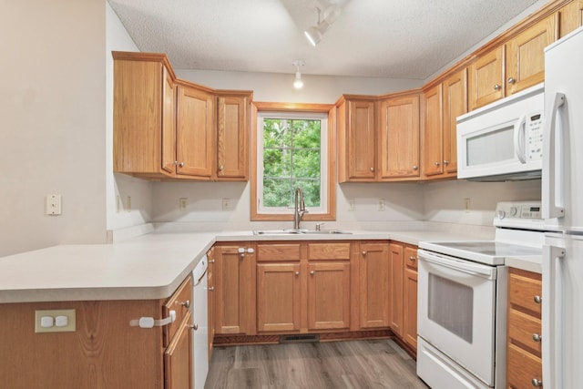 12488 Unity St NW, Coon Rapids, MN 55448 - photo 9