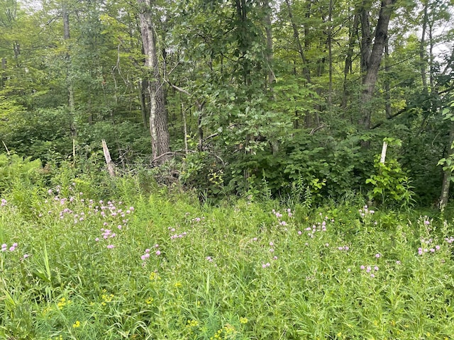 LOT23 Winter Trl, Breezy Point, MN 56472 - photo 1