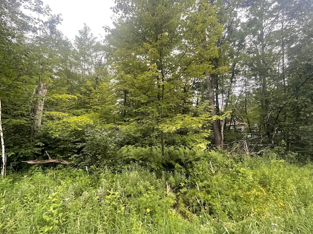 LOT23 Winter Trl, Breezy Point, MN 56472 - photo 3