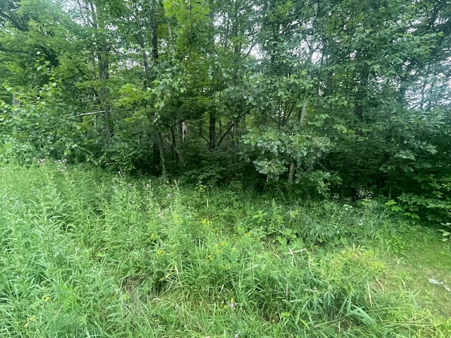 LOT23 Winter Trl, Breezy Point, MN 56472 - photo 5