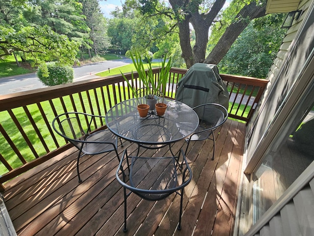 217 Galtier Pl, Shoreview, MN 55126 - photo 14