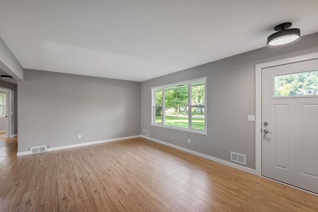 11632 Utah Ave N, Champlin, MN 55316 - entryway with plenty of natural light and light wood-type flooring