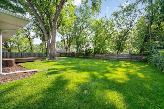 11632 Utah Ave N, Champlin, MN 55316 - view of fenced backyard