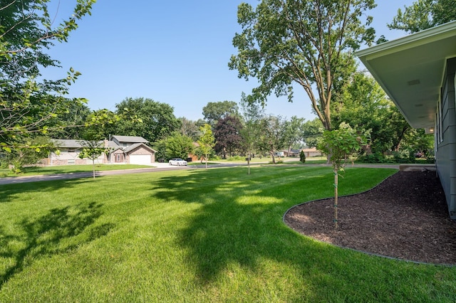 11632 Utah Ave N, Champlin, MN 55316 - view of green lawn