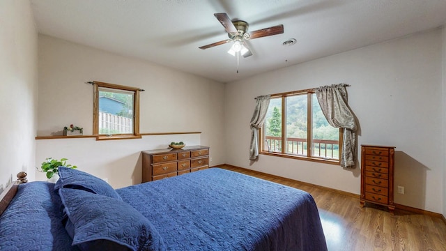 24321 County Road 20, Winona, MN 55987 - photo 15