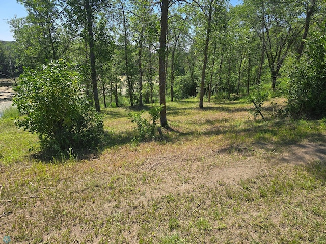 18589 Jarrett Dr, Audubon, MN 56511 - photo 5