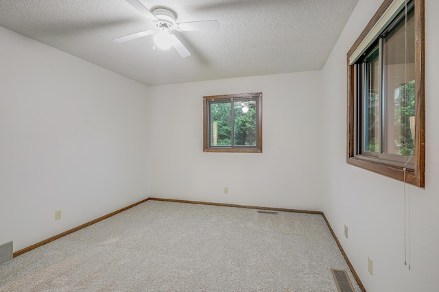 11056 26th St NE, Saint Michael, MN 55376 - photo 32