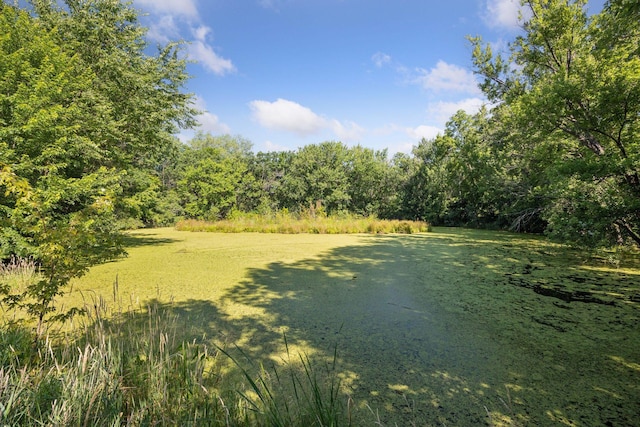 3715 Huntingdon Dr, Minnetonka, MN 55305 - photo 48