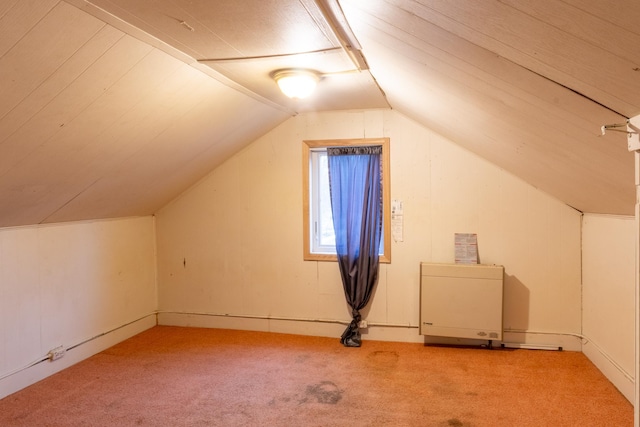 1101 Mississippi Ave NW, Bemidji, MN 56601 - photo 15