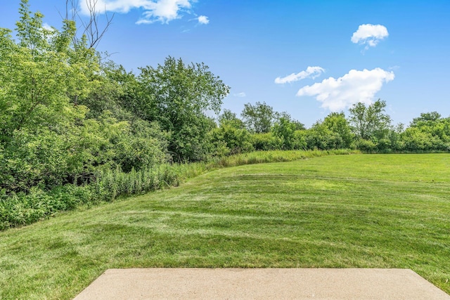 207 Appaloosa Ct, Braham, MN 55006 - photo 6