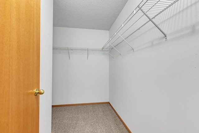 207 Appaloosa Ct, Braham, MN 55006 - photo 22
