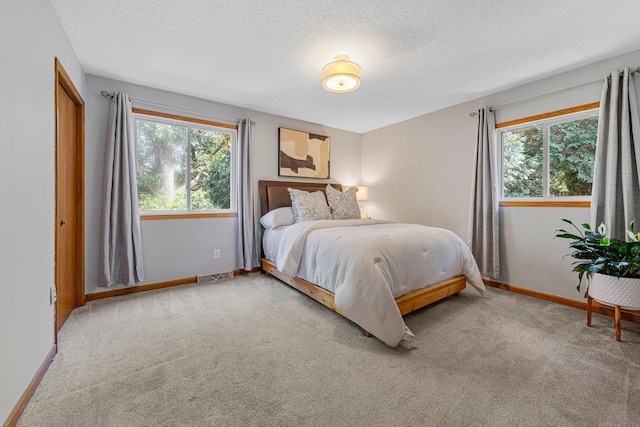 14349 Natchez Ave, Savage, MN 55378 - bedroom with carpet flooring and a textured ceiling