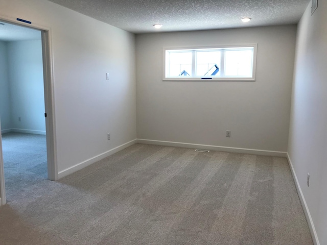 20071 67th Pl, Corcoran, MN 55340 - spare room with carpet floors and a textured ceiling