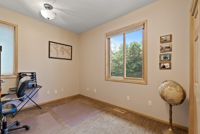 2815 Vega Ave, Hollywood Twp, MN 55360 - photo 39