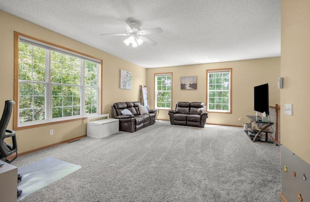 13947 Ironstone Ter NW, Ramsey, MN 55303 - photo 5