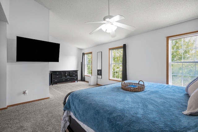 13947 Ironstone Ter NW, Ramsey, MN 55303 - photo 9